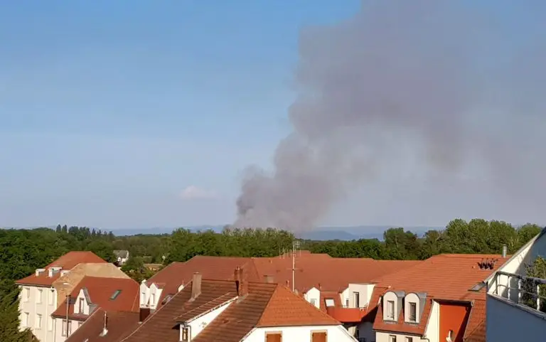 Alsace : 70 sapeurs-pompiers luttent contre un feu de forêt