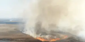 Pologne : le parc de Biebrza en proie aux flammes