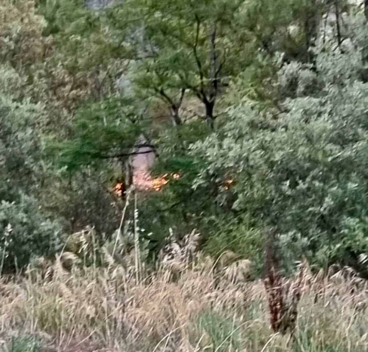 Un départ de feu est signalé à proximité de La Tremblade (17)