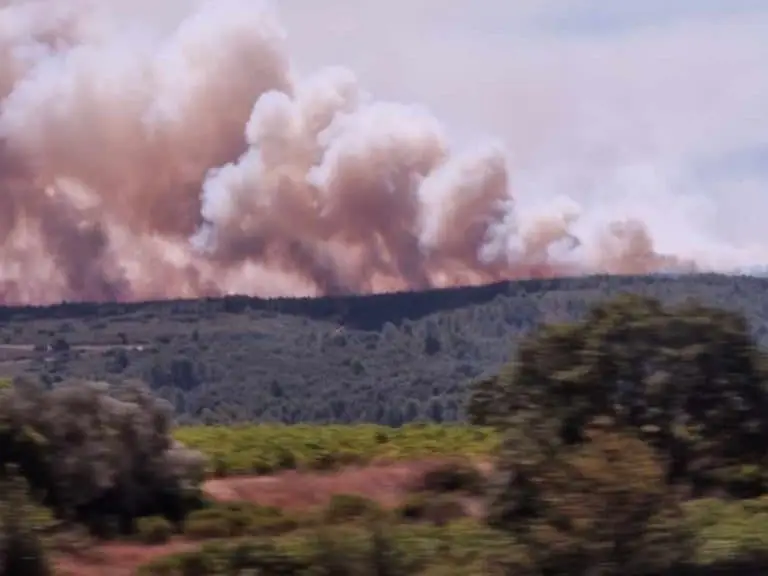 Feu dans le Gard : un pompier volontaire gravement brûlé, trois autres blessés