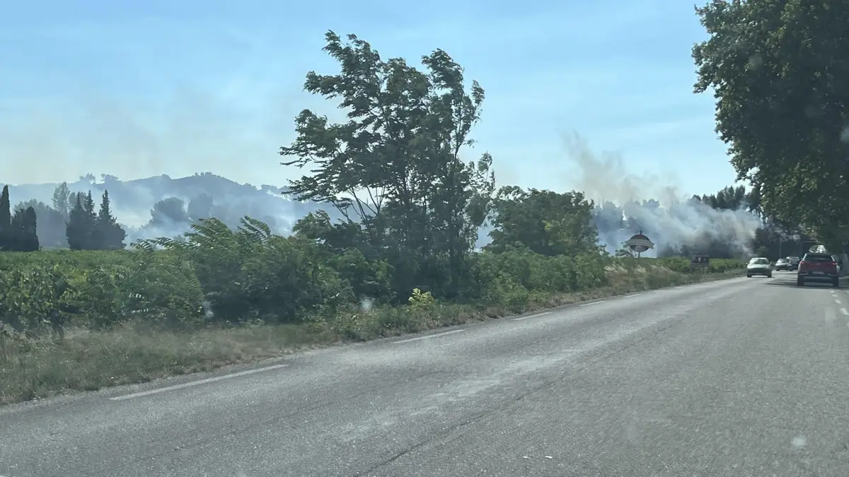 Tavel (30), près de l’autoroute A9
