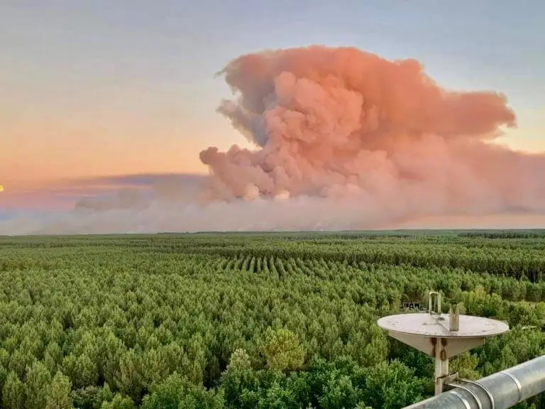 Gironde : 2.700 hectares détruits, plus de 600 pompiers toujours mobilisés