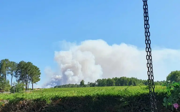 Landiras (33)