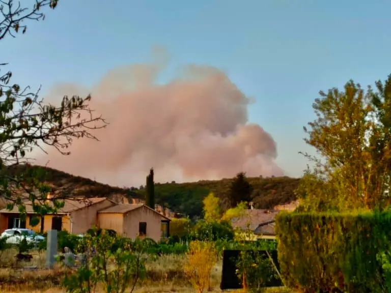 Météo des forêts : le niveau du risque pour aujourd’hui et demain