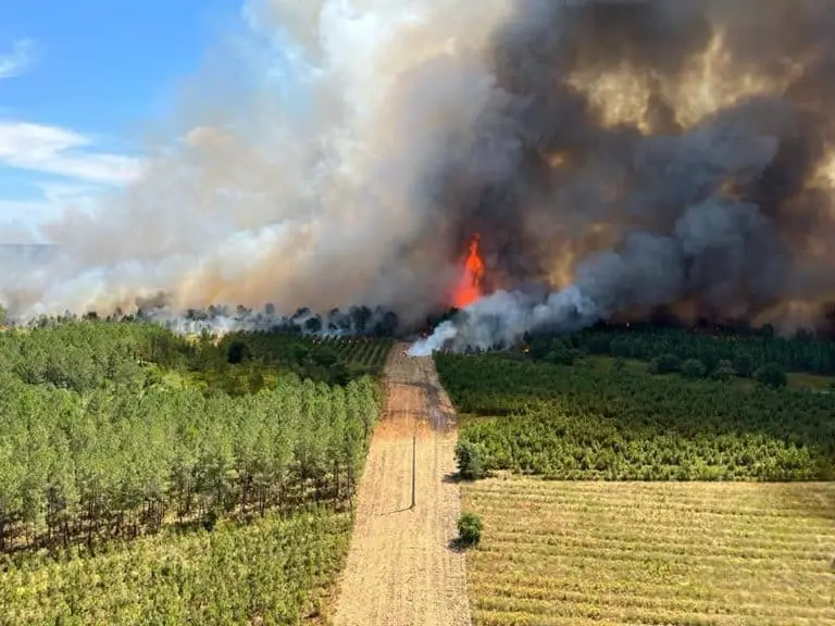 Gironde/Landes : 6000 hectares ravagés par les flammes, 8000 personnes évacuées… Le dernier bilan à 16h