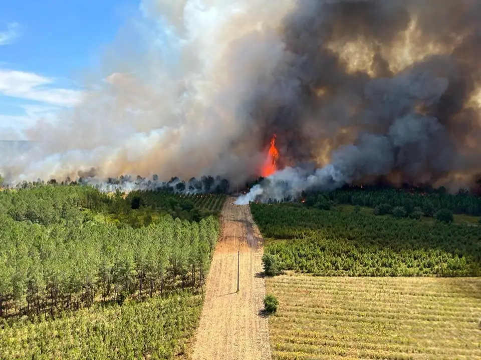 Gironde/Landes : 6000 hectares ravagés par les flammes, 8000 personnes évacuées… Le dernier bilan à 16h