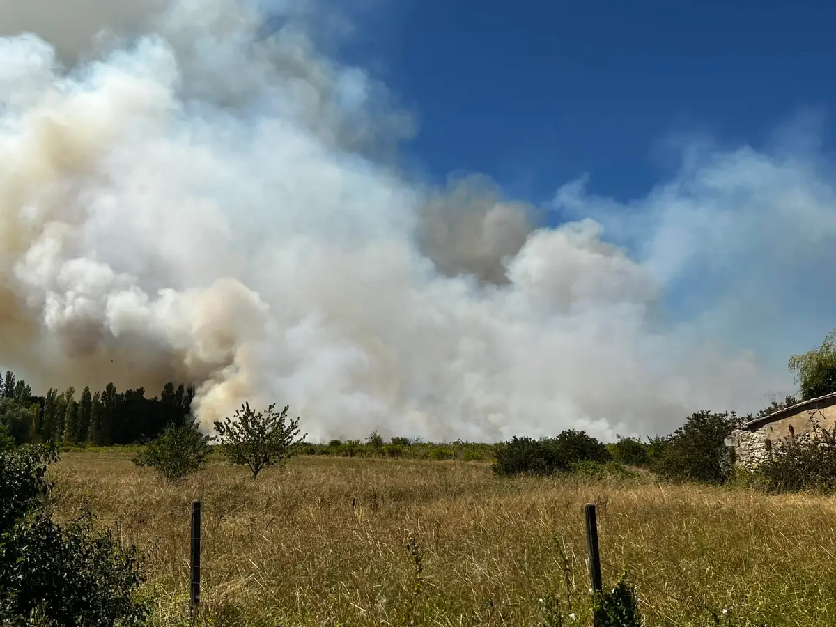 Saint-André-de-Cubzac (33) – feu virulent