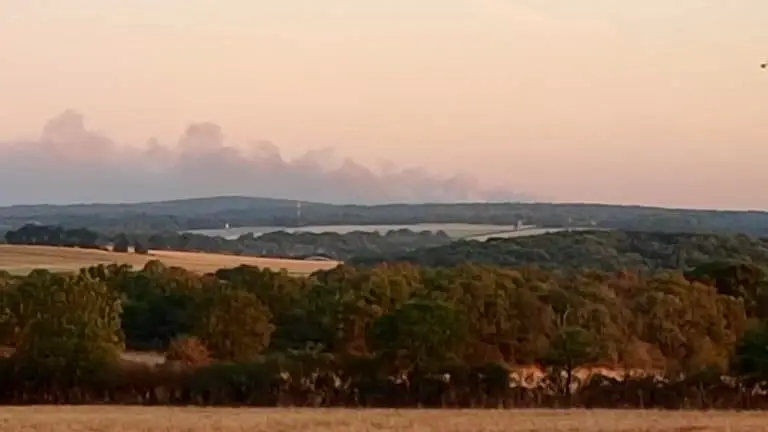 Campénéac (56), forêt de Brocéliande – feu virulent