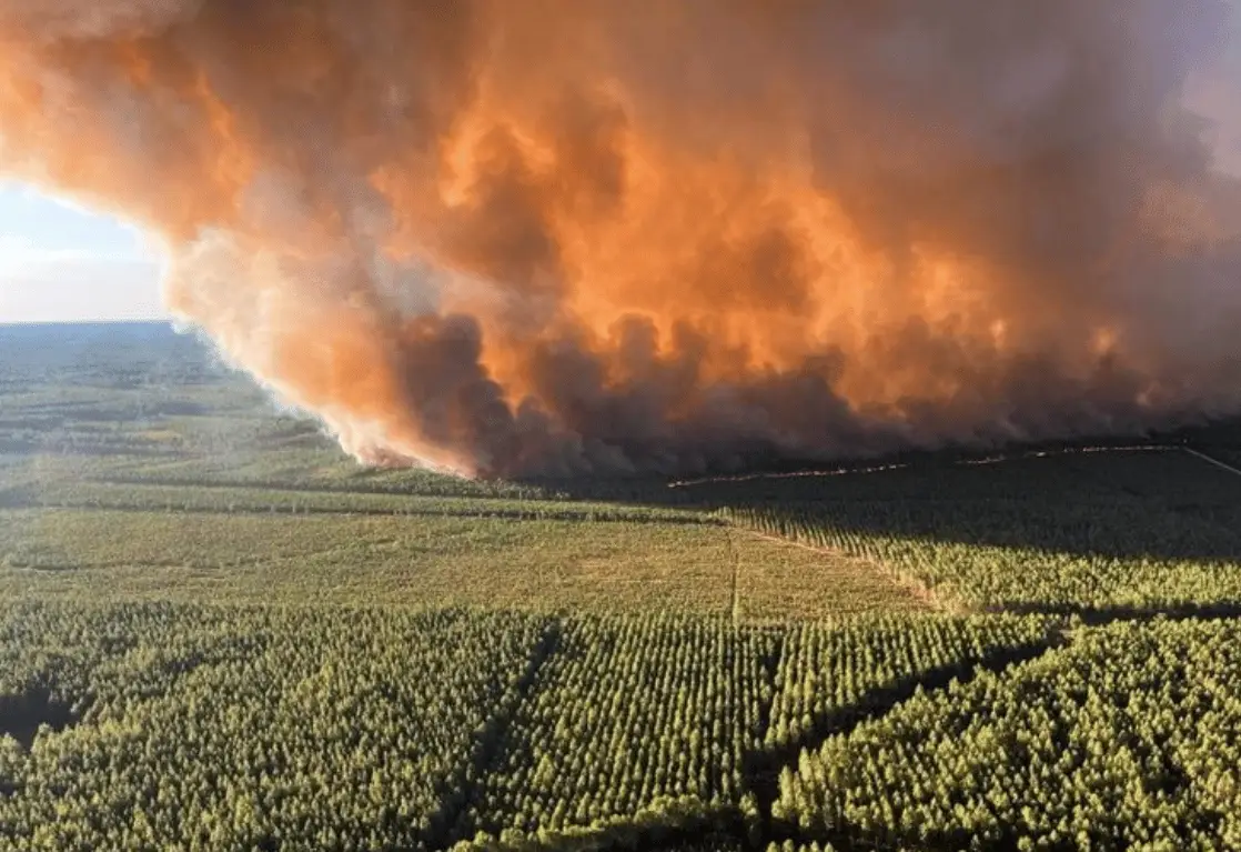 Incendies en Gironde : plus de 6000 hectares ravagés, 16 maisons détruites… un feu « hors norme »