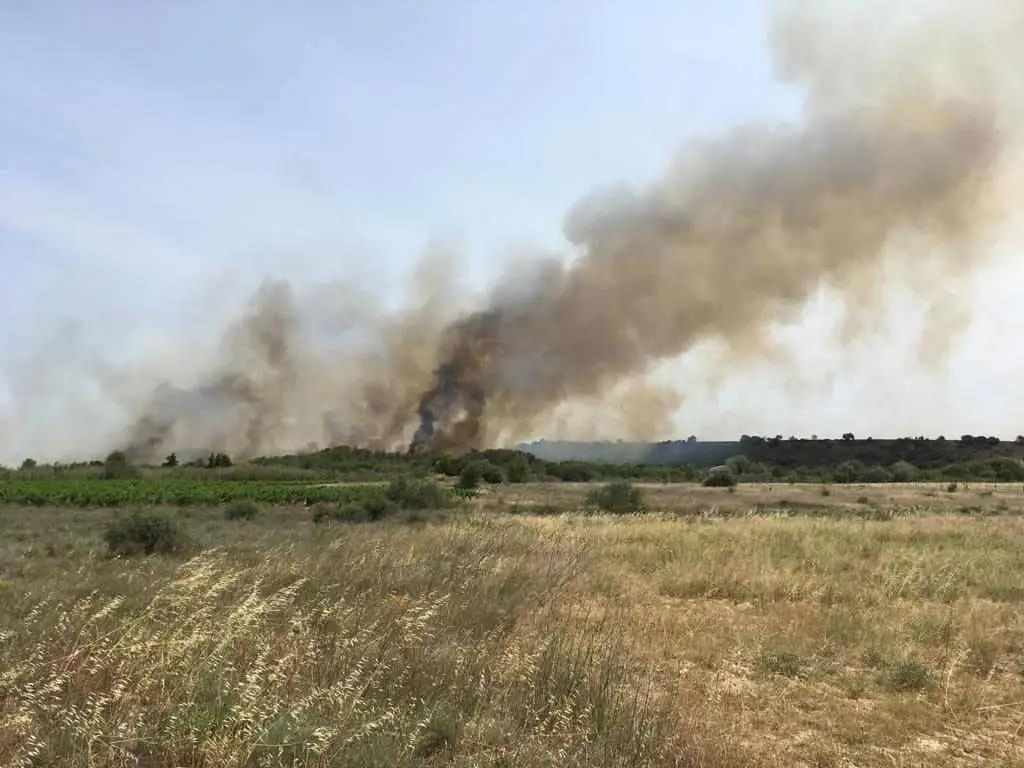 Pouzols-Minervois (11)