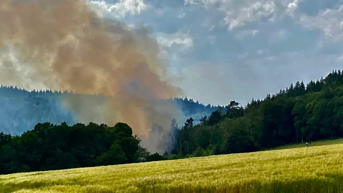 Saint-Goazec (29)