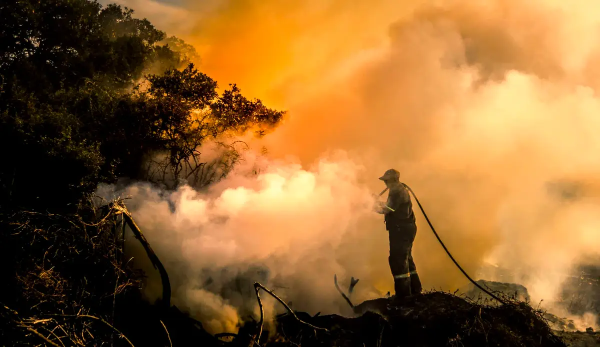Incendies au Canada : ce qu&rsquo;il faut savoir de ces fumées qui commencent à toucher la France