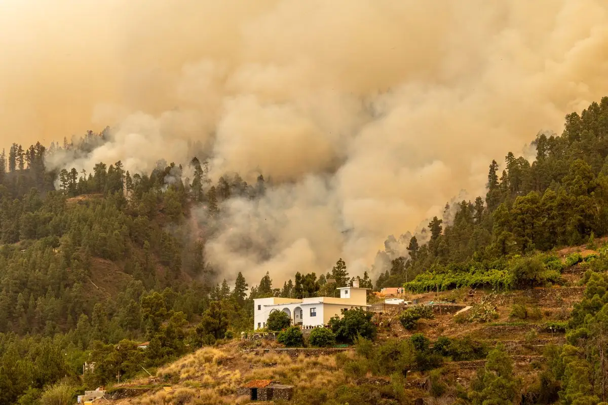 L&rsquo;île de La Palma en Espagne frappée par un violent feu de forêt