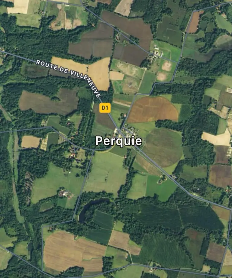 Perquie (40)