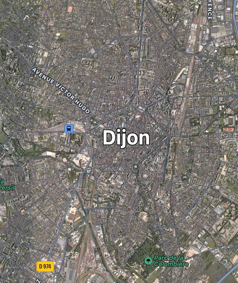 Dijon (21)