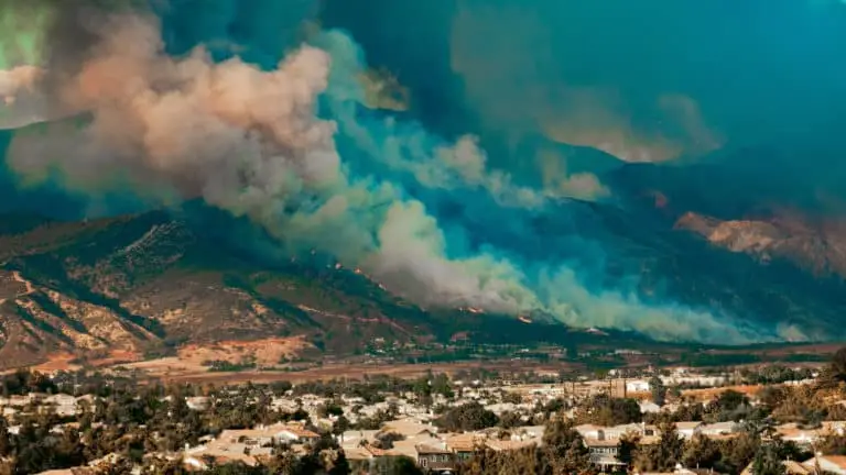 DOSSIER. L&rsquo;impact des feux de forêt et de leur fumée sur votre santé mentale