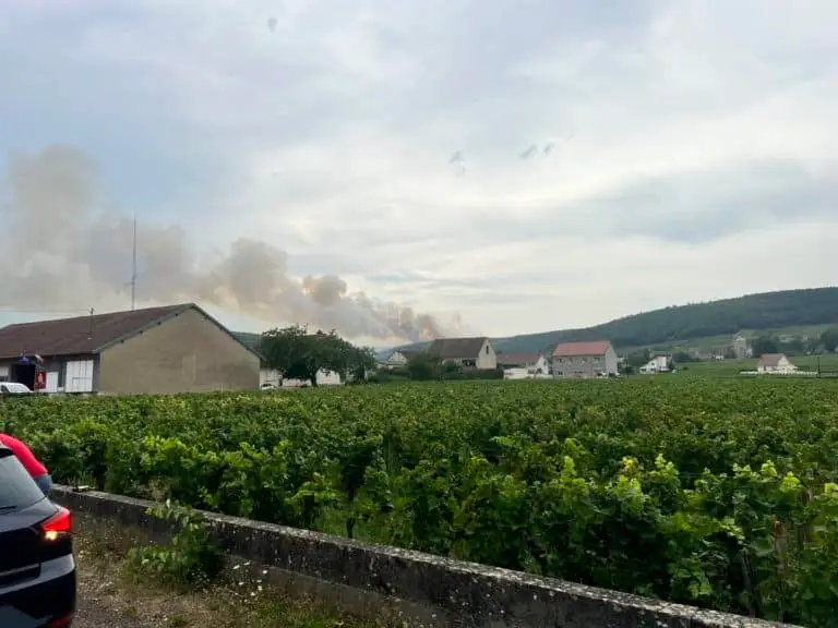 Gevrey-Chambertin (21)