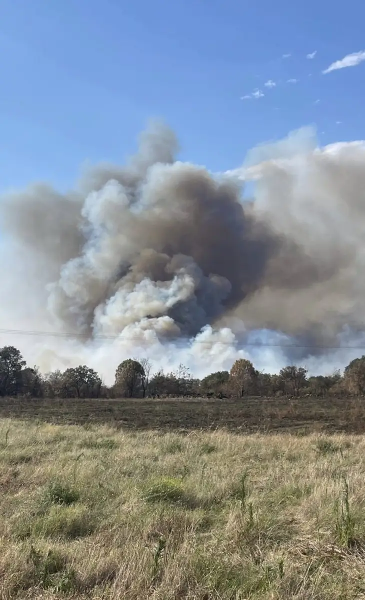Violent feu de forêt à Saint-André (66), suivez notre direct