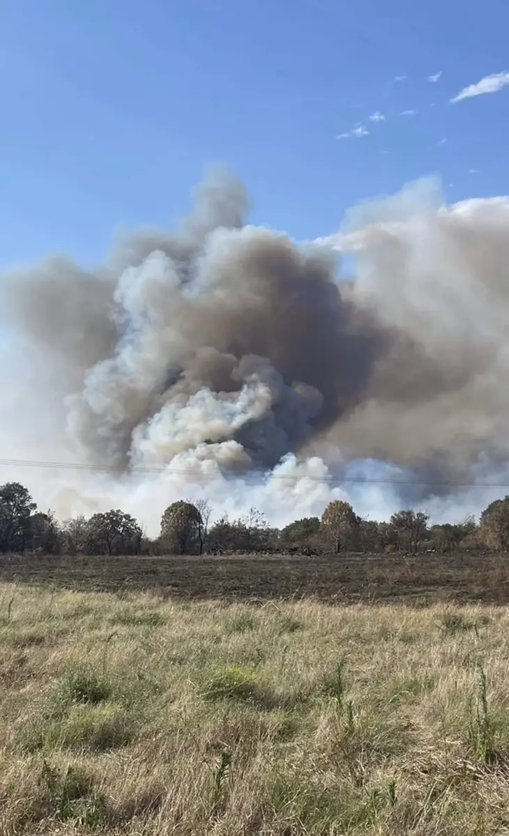 Violent feu de forêt à Saint-André (66), suivez notre direct