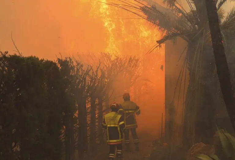 Feu dans les Pyrénées-Orientales : les images qui témoignent d’une lutte acharnée
