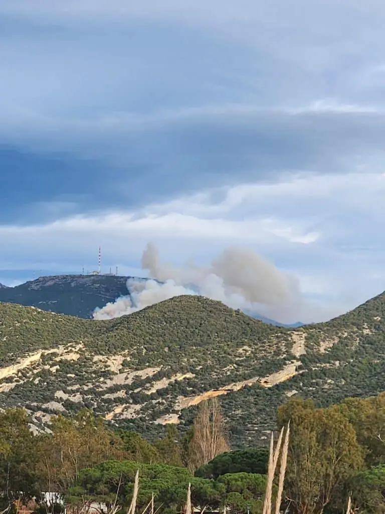 Feu à Barbaggio (2B), les dernières infos en direct