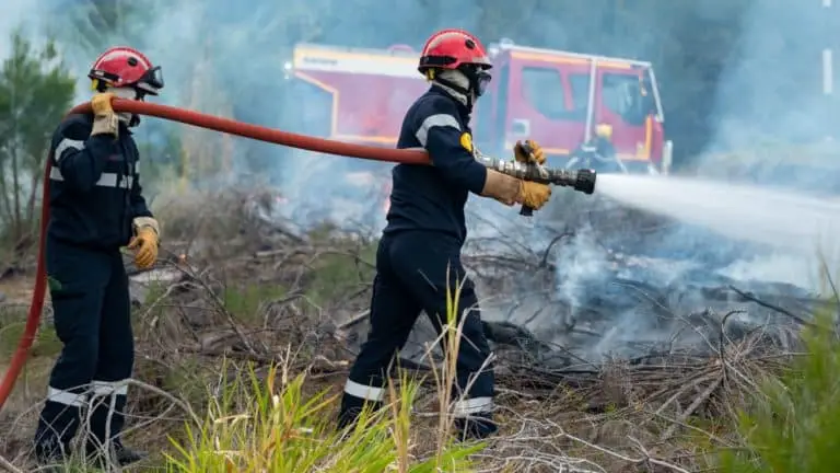 Feux de forêt en Nouvelle-Calédonie : le RIMaP-NC envoyé en renfort