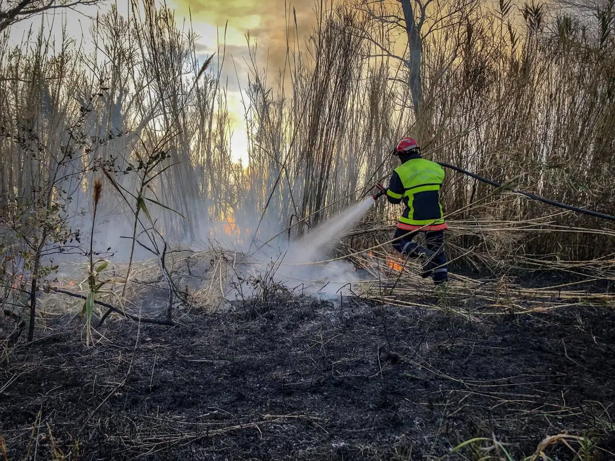 Les feux de forêt s'intensifient dans toute l'Amérique du Sud