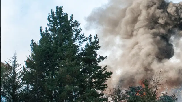 Feu dans le Gard : un chien emporté par les flammes