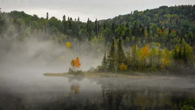 Québec : alerte à la sécheresse et aux feux de forêt