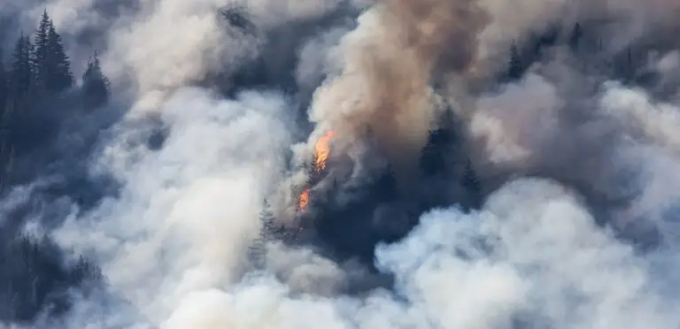 Sarthe: Incendie de forêt à l&rsquo;est du département