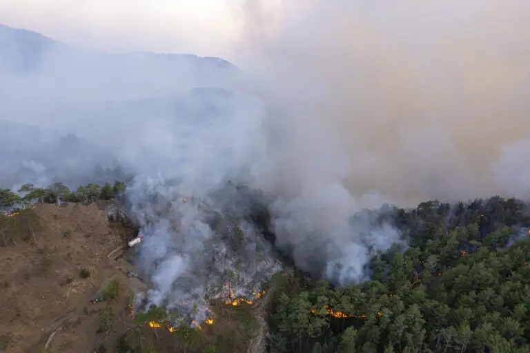 Feu de forêt à Montauban-sur-l&rsquo;Ouvèze : intervention rapide des sapeurs-pompiers