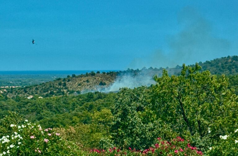 Montesquieu-des-Albères (66)