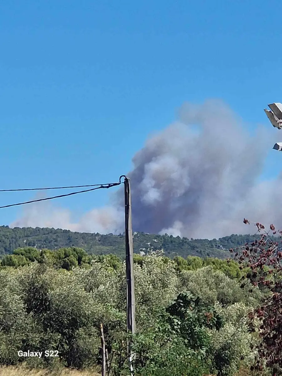 Minerve (34)