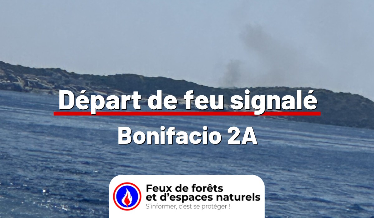 Bonifacio (2A)