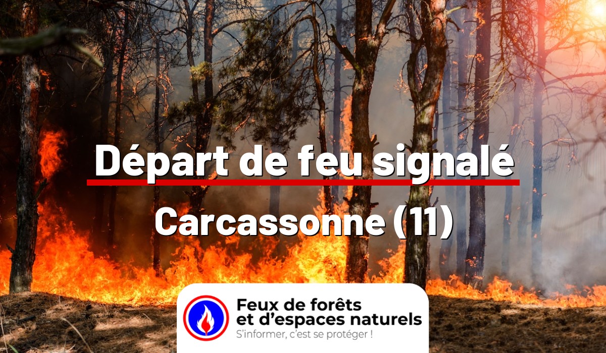 Carcassonne (11)