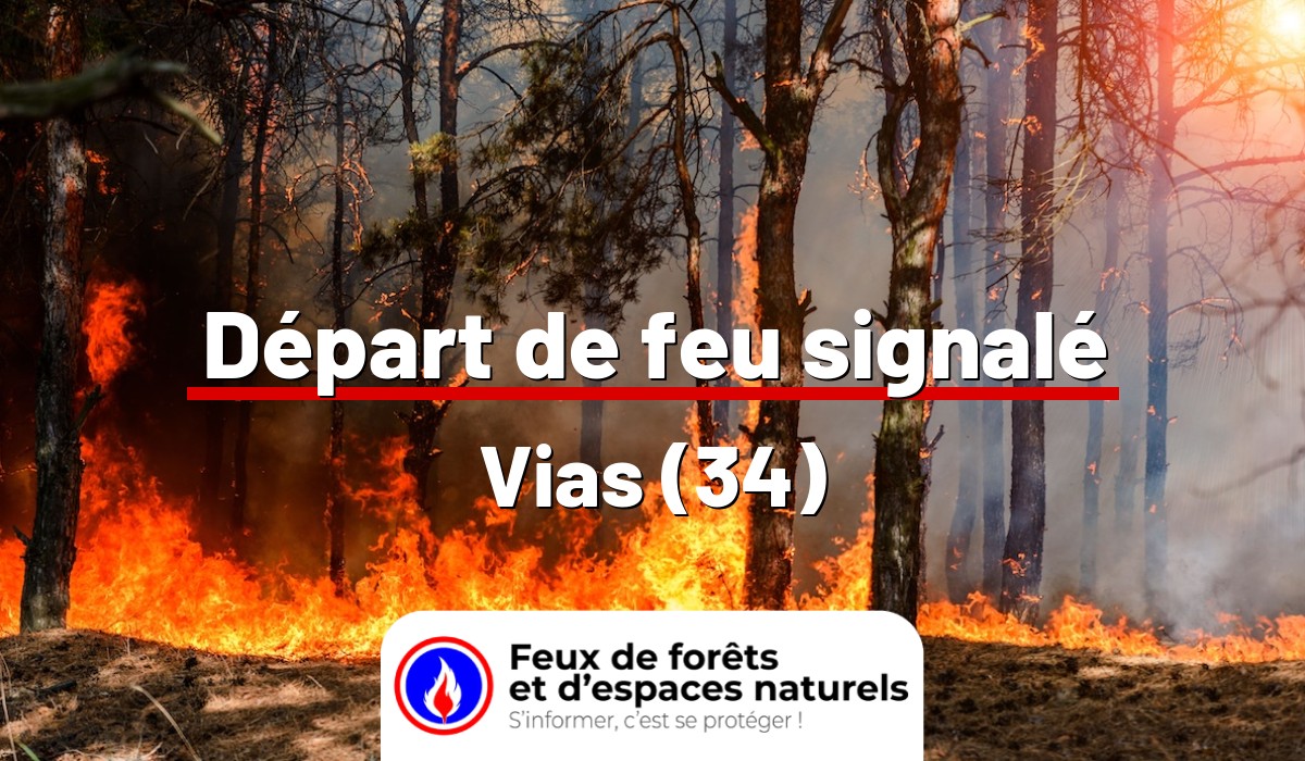 Vias (34)