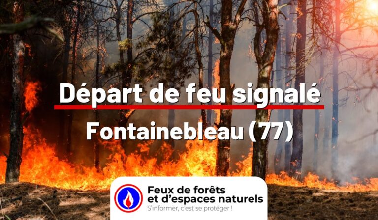 Fontainebleau (77)