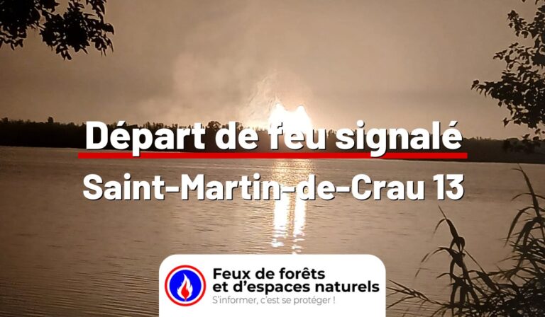 Saint-Martin-de-Crau (13)
