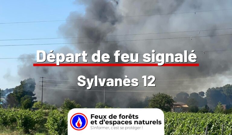 Sylvanès (12)