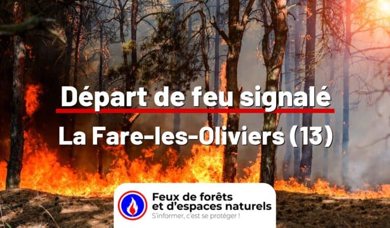 La Fare-les-Oliviers (13)