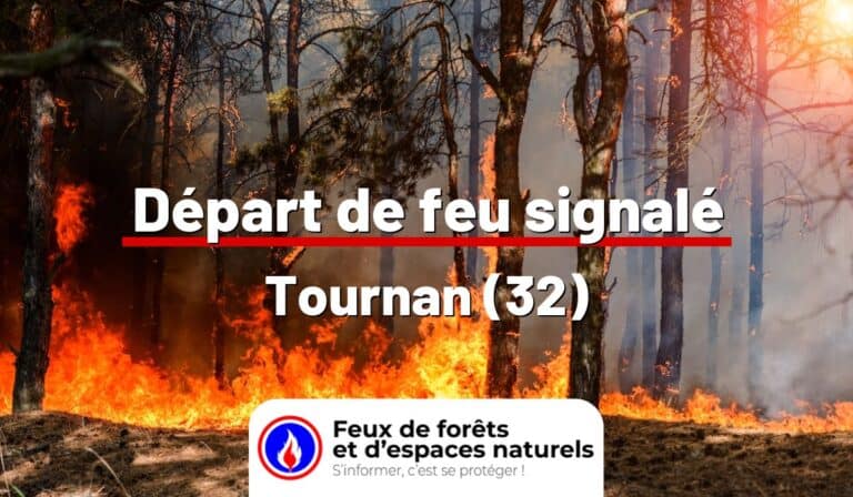 Tournan (32)