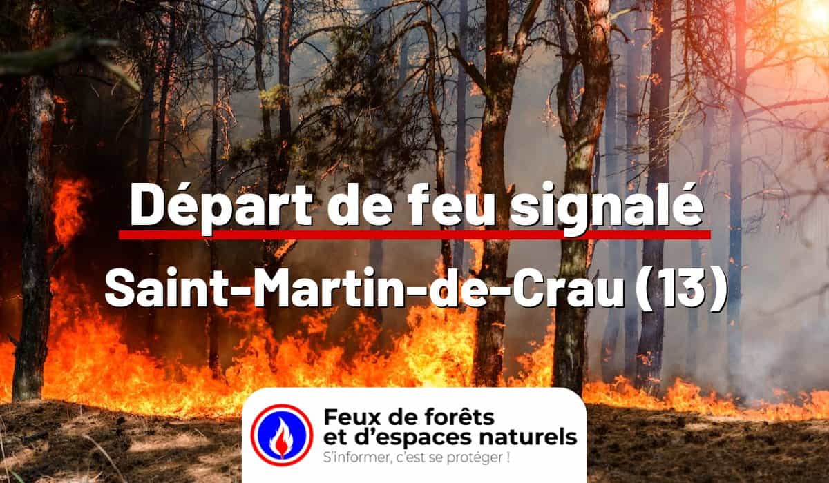 Saint-Martin-de-Crau (13)