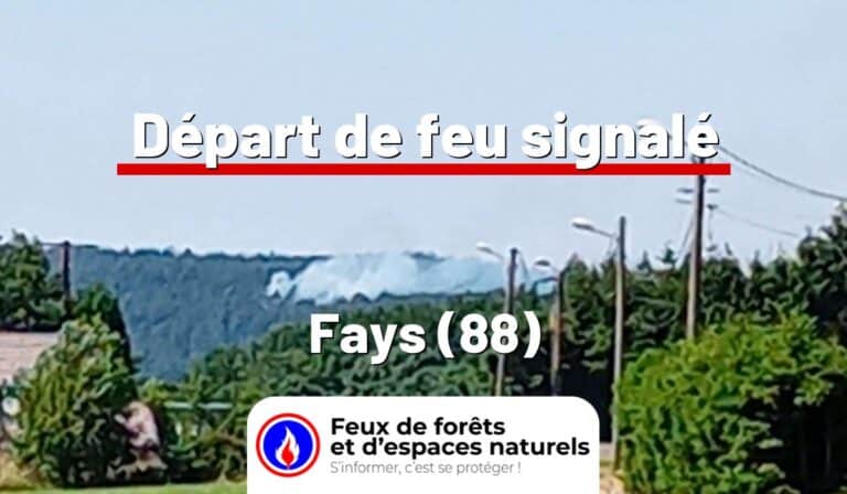 Fays (88)