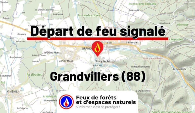 Grandvillers (88)