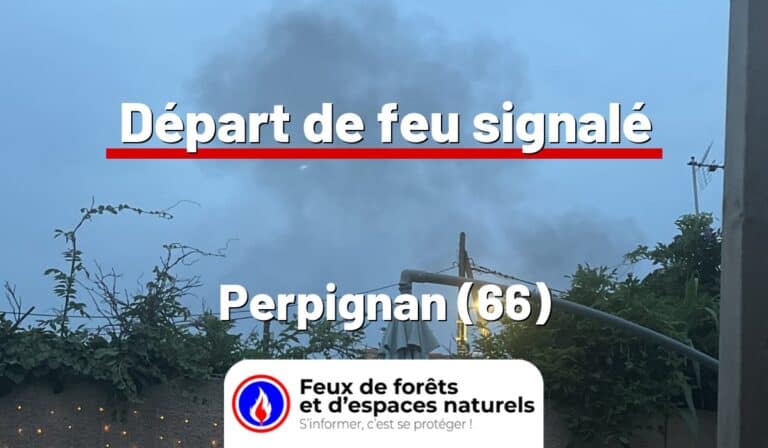 Perpignan (66)