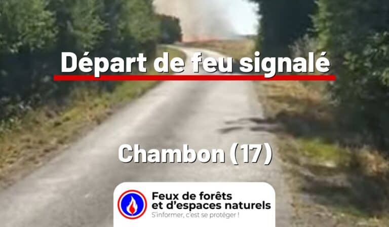 Chambon (17)
