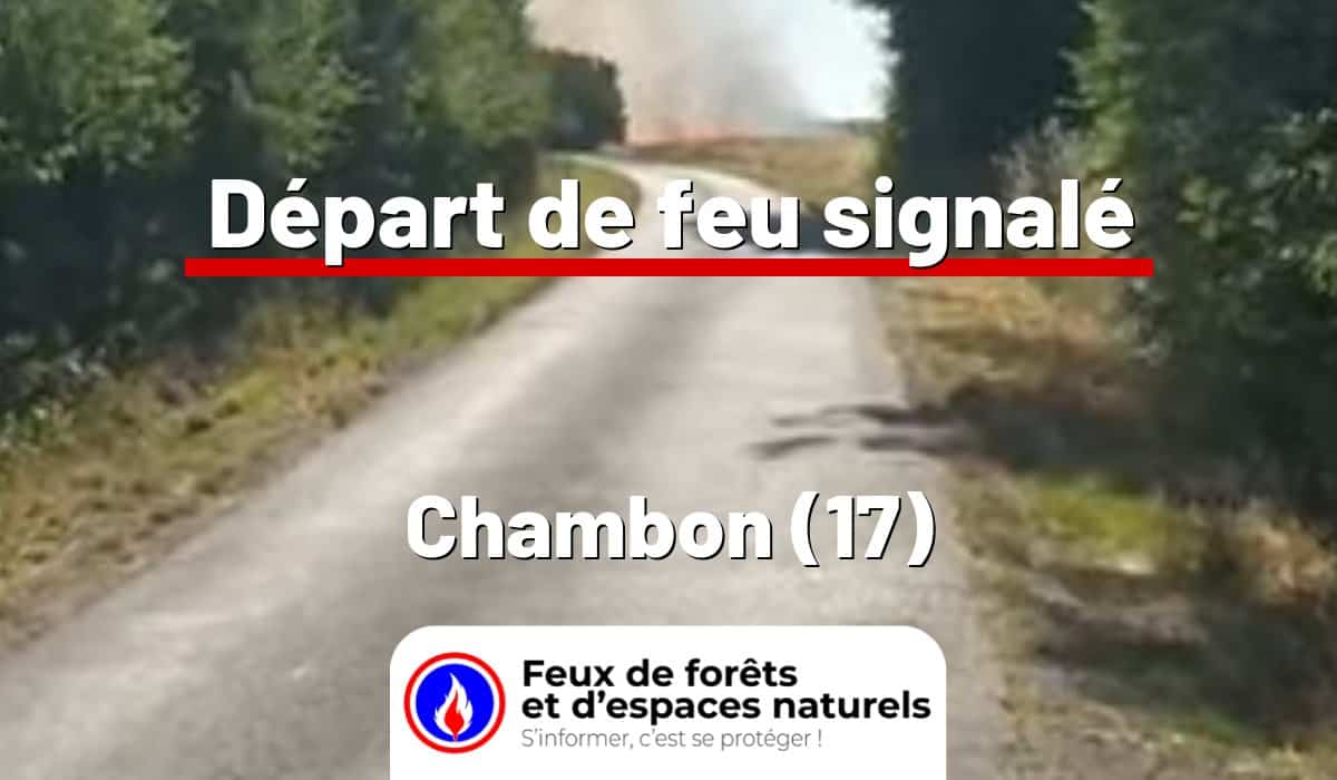 Chambon (17)