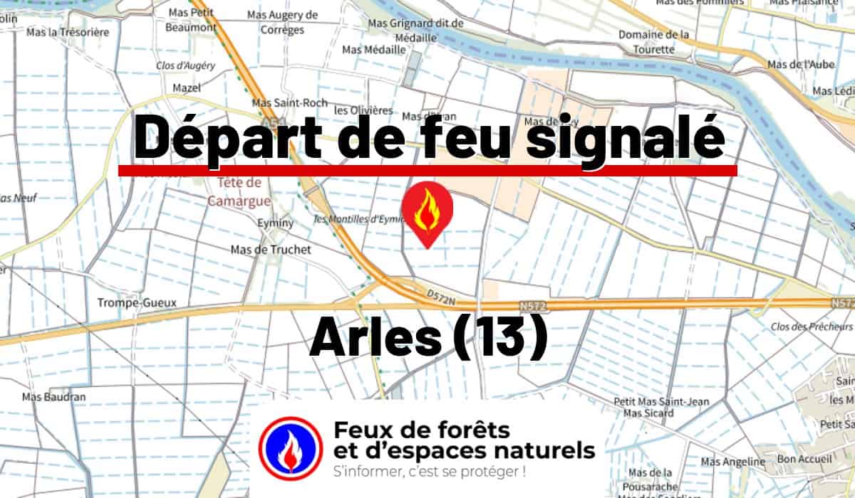 Arles (13)