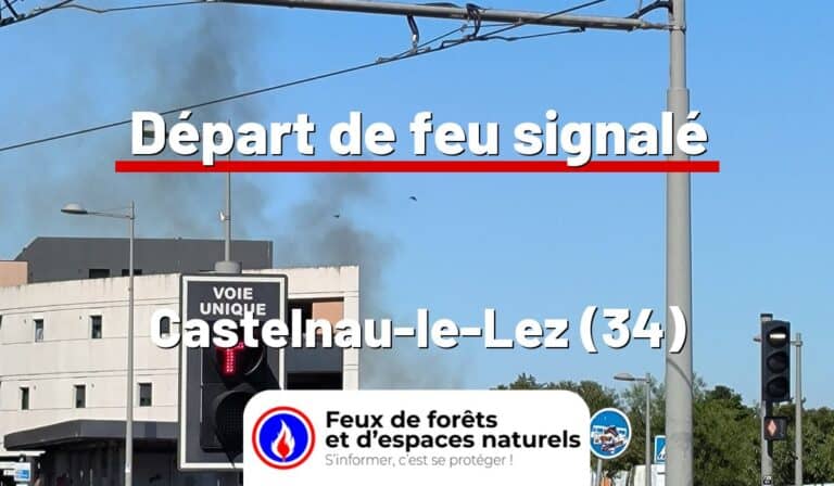 Castelnau-le-Lez (34)