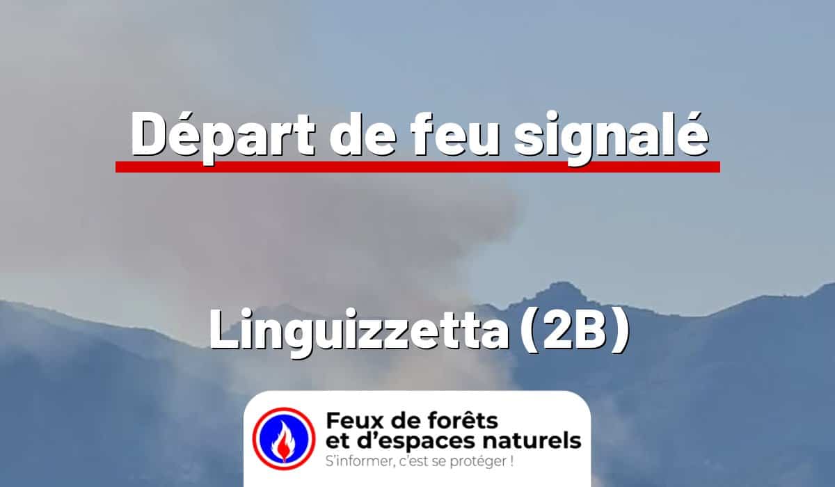 Linguizzetta (2B)